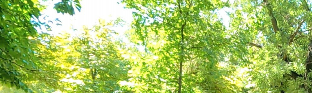 User banner image